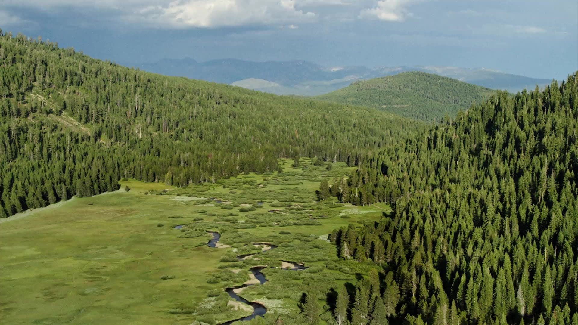 Rivian Electric Adventure Vehicles
